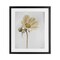 Stupell Industries Simple Beauty Soft Flower Framed Print Under Glass, design by Lori Deiter